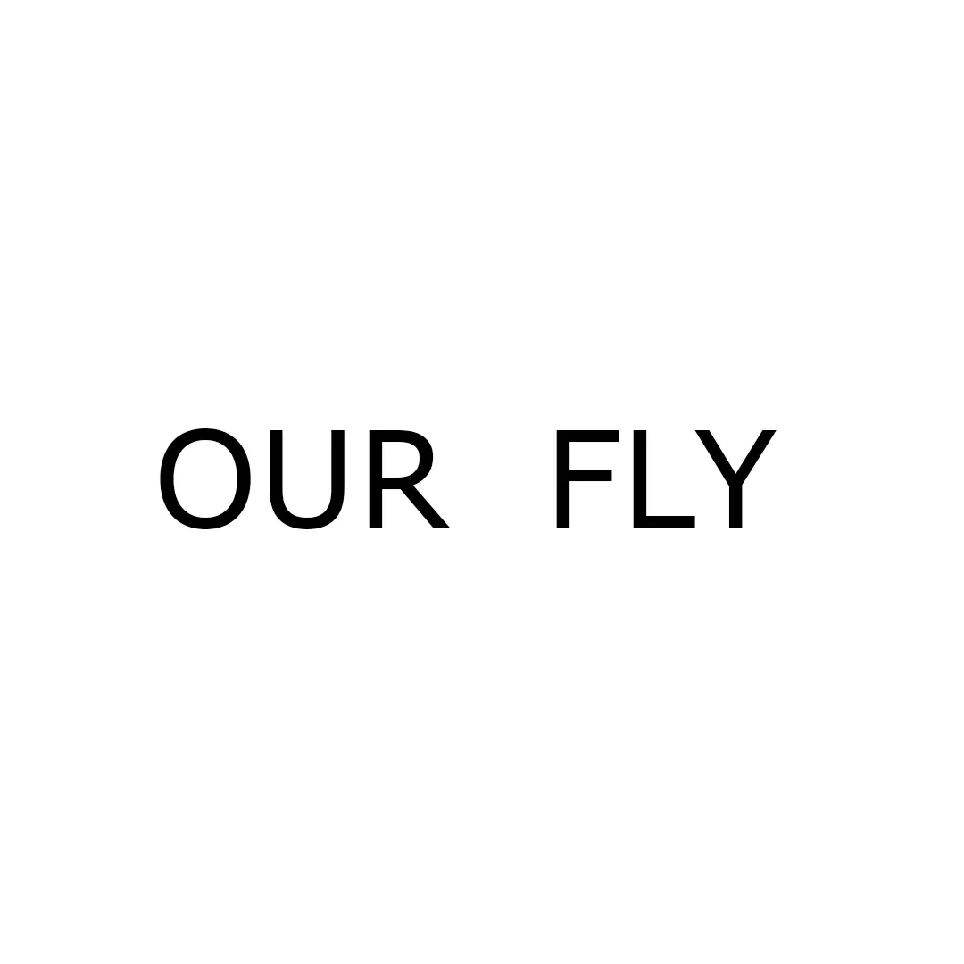 Our Fly